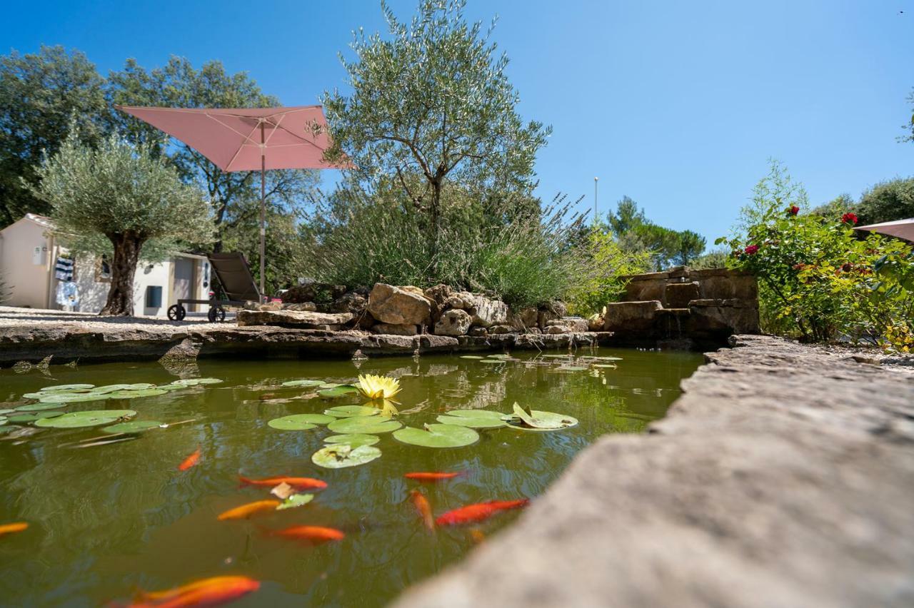 Mas La Cheneraie Lourmarin - Au Calme, A 10 Mn Du Centre Ville A Pied Экстерьер фото